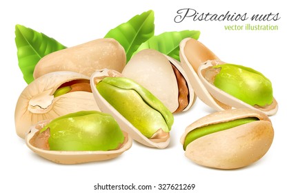 Pistachio nuts with leaves. Vector illustration.