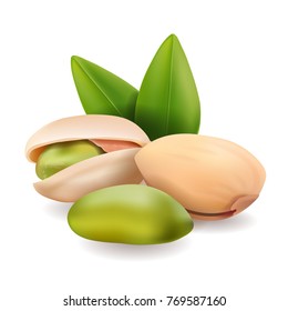 Pistachio nuts with leaves. Vector illustration realistic pistachio kernels