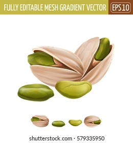 Pistachio nuts on white background. Vector illustration