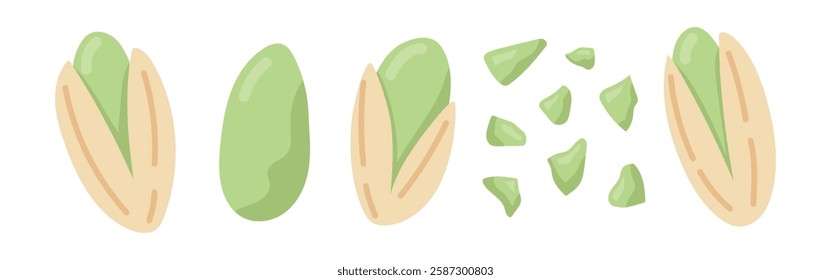 Pistachio nuts. Peeled, unpeeled and chopped nuts. Vegan food ingredients. Vector illustration isolated on white background