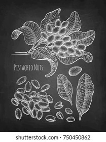 Pistachio nuts set. Chalk sketch on blackboard background. Hand drawn vector illustration. Retro style.