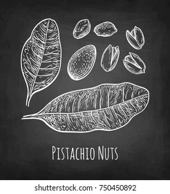 Pistachio nuts set. Chalk sketch on blackboard background. Hand drawn vector illustration. Retro style.
