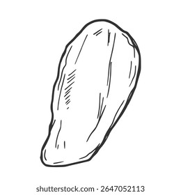 Porcas de pistache engastadas. Esboço isolado de porca de pistácio descascada