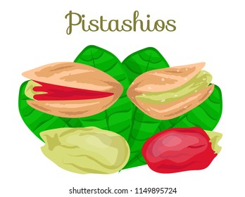 Pistachio nuts set.Whole,ripe,green pistachio nut. Pistachio nuts,kernels. Nut in shell. Modern flat cartoon vector illustration on white. Organic,healthy snack. Poster,banner healthy food for company