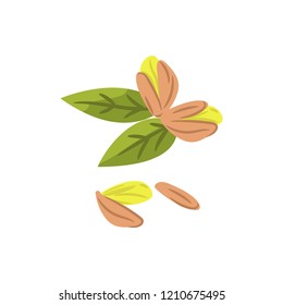 Pistachio nuts vector cartoon illustration isolated on white.