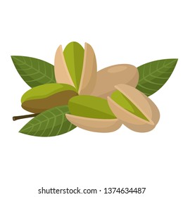 pistachio nuts. Vector product walnut pistachio icon. Pistachio nuts in the shell and with leaves. Illustration of food pistachio in flat minimalism style.