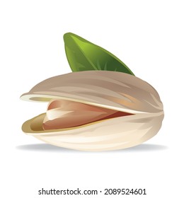 Pistachio nuts vector whole with one leaf closeup 