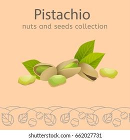 The pistachio on a light background. Nuts and seeds collection. Vector illustration