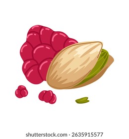 Pistachio and raspberry vector cartoon hand drawn composition with opened, crushed nuts kernel and berry for healthy food visuals, product design, dessert branding, menu, stickers, packaging