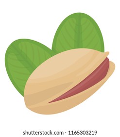 Pistachio, salted dried nut inside shell 