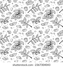 Pistachio seamless pattern collection. Vintage sketch design. Organic food illustration. Natural nut snack background. Vegetarian retro wallpaper. Decorative botany vector illustration in sketch style