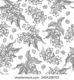 Pistachio seamless pattern. Hand drawn pistachio nut branch. Vector illustration in vintage style. 