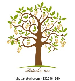Pistachio tree isolated on white. Pistachio nuts. Silhouette. Icon. Sign. Vector Illustration