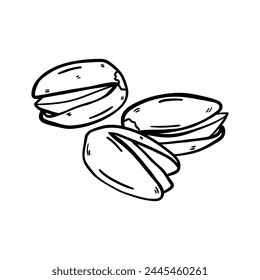 Pistazie-Vektorgrafik-Symbol im Doodle-Stil. Symbol in einfachem Design. Cartoon-Objekt handgezeichnet isoliert auf weißem Hintergrund.