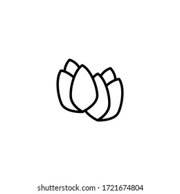 Pistachio vector icon in linear, outline icon isolated on white background