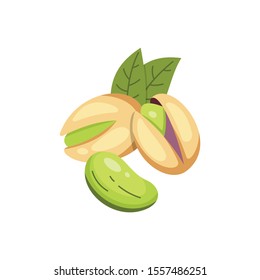 Pistachio vector icon nuts in cartoon style. Nut food collection.