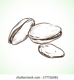 Pistachio vector illustration