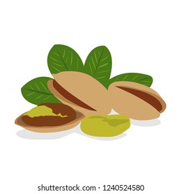Pistachio vector isolated on white background.
