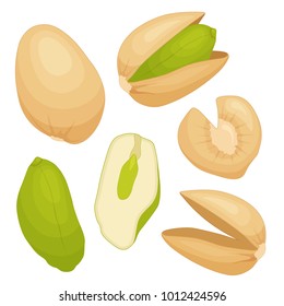 Pistachio vector. A set of whole kernels, shells, cracked cores. Illustration