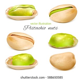 Pistachio. Whole nuts and pistachio kernels. Collection of vector illustration.