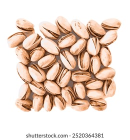 Pistachios background. Vector backdrop top view