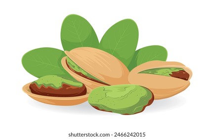 Pistachios. Composition of four pistachios. Pistachio kernel and nut in shell with green leaves. Vector illustration on a white background.