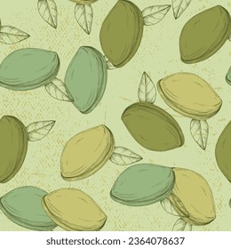Pistachios drawn sketch. Seamless pattern. Vintage style. Botanical drawing. Nut collection.