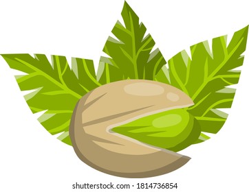 Pistachios. Green nuts in their shells. Walnut with leaves. Snack and food. Cartoon flat illustration