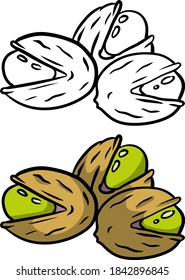 Pistachios. Green nuts in their shells. Set of Walnut. Snack and food. Cartoon flat illustration