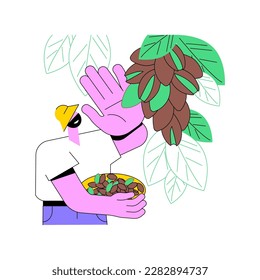 Pistachios growing isolated cartoon vector illustrations. Young farmer picks pistachios from the tree, agriculture enterprise, agribusiness idea, processing-manufacturing sector vector cartoon.