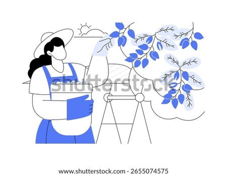 Pistachios growing isolated cartoon vector illustrations. Young farmer picks pistachios from the tree, agriculture enterprise, agribusiness idea, processing-manufacturing sector vector cartoon.