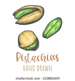 Pistachios hand drawn colored illustration, isolated vector design element.
