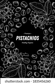 Esbozo dibujado a mano con pistachos. Ilustración vectorial de nueces. Alimentos orgánicos saludables. Ideal para el diseño de envases. Estilo grabado. Color blanco y negro.