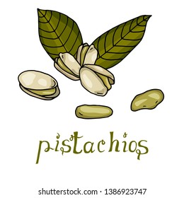 Pistachios hand drawn vector illustration with lettering