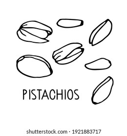 Pistachos. Nuez vectorial dibujada a mano. Esbozo lineal Doodle. Cocina orgánica, fresca, ingrediente dietético saludable. Esbozo de producto orgánico. Juego de iconos de los pistachos. Para plantilla de etiquetas, embalaje, diseño del mercado agrícola