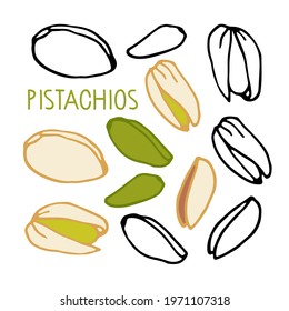 Pistachios. Hand drawn vector nut. Doodle Linear sketch. Organic, fresh cooking, healthy diet ingredient. Organic product sketch. Pistachios Icon set. For label template, packaging, farm market emblem