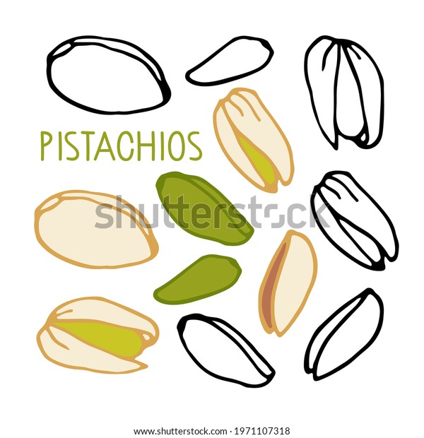 Pistachios Hand Drawn Vector Nut Doodle Stock Vector (Royalty Free ...