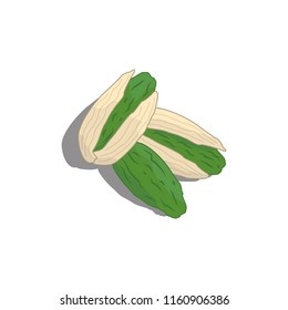 Pistachios icon. Vector.