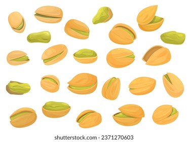 Pistachios icons set cartoon vector. Nut food. Protein harvest