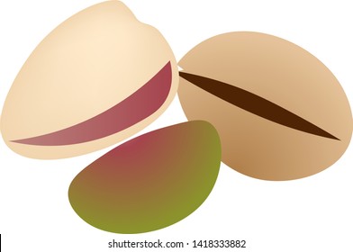 Pistachios isolated on white background vector illustration