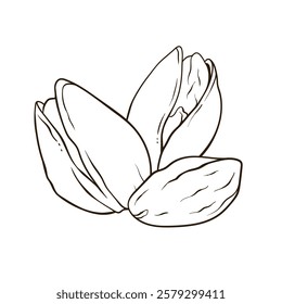 Pistachios nuts in shell and kernels, hand drawn vector food illustration