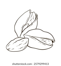 Pistachios nuts in shell and kernels, hand drawn vector food illustration