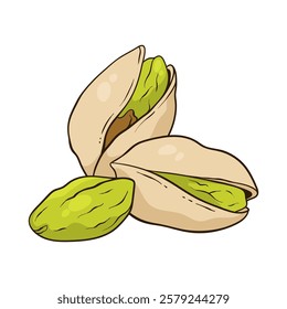 Pistachios nuts in shell and kernels, vector food illustration