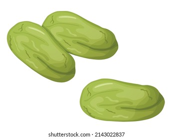 Pistachios. Nuts in shell and peeled in cartoon style.