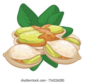 pistachios, nuts vector