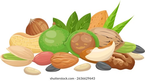 Pistachios, peanuts, macadamia nuts, almonds, pecans, Brazil nuts, walnuts, hazelnuts and sunflower seeds are forming a healthy mix with green leaves
