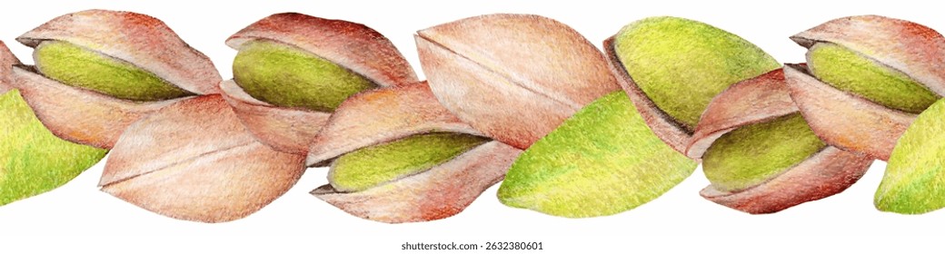 Pistachios Seamless branch. Pistachios border Isolated on white Background.Hand-drawn colored vector illustration.
