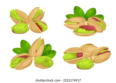 pistachos con cáscara aislados en fondo blanco.Ilustración vectorial