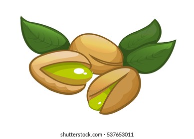 pistachios vector cartoon illustration