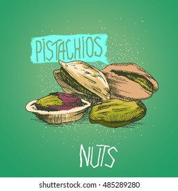 pistachios. vector illustration, hand made. Pistachio . Walnut. Nut. Peanut. Almond. pecan Cashew .Hand drawn sketches vector illustration on turquoise background in vintage style.